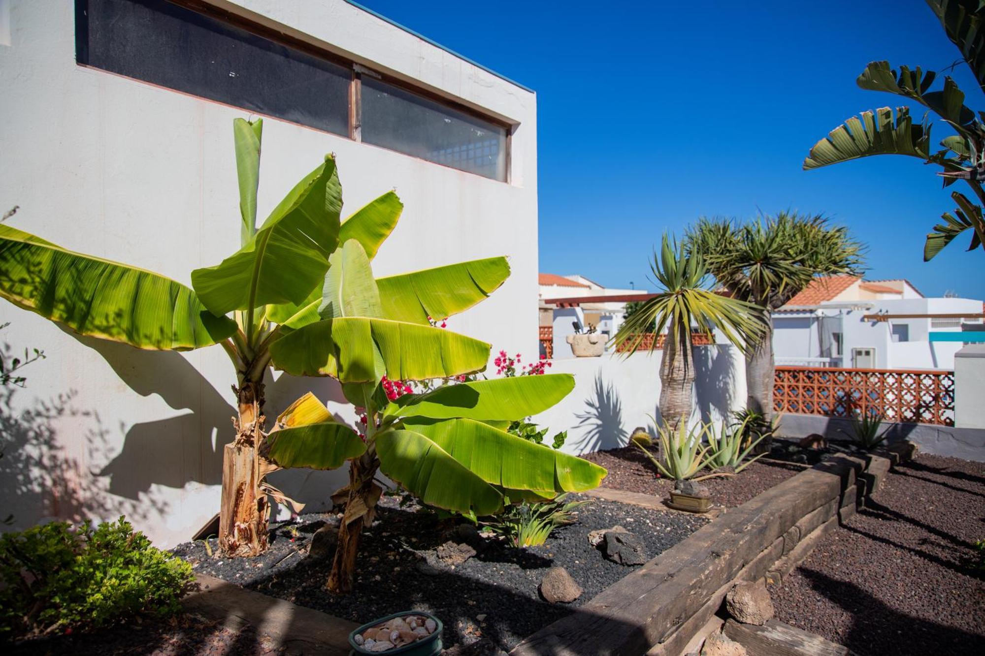 Casa Las Palmeras Parque Holandes Exteriér fotografie